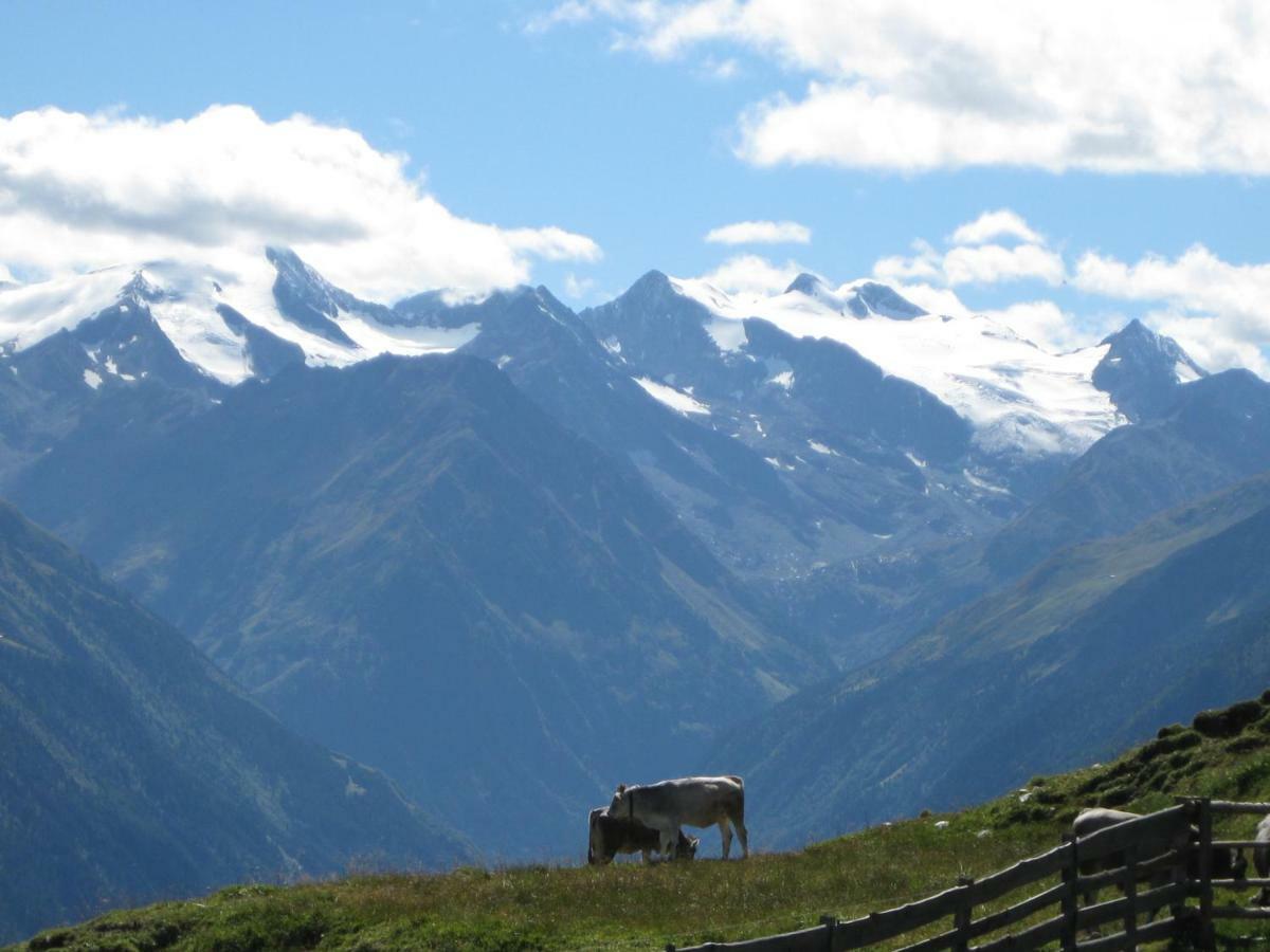 Haus Gamskogl Apartman Neustift im Stubaital Kültér fotó
