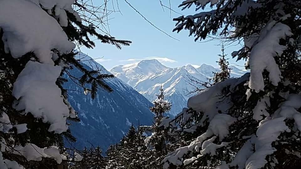 Haus Gamskogl Apartman Neustift im Stubaital Kültér fotó
