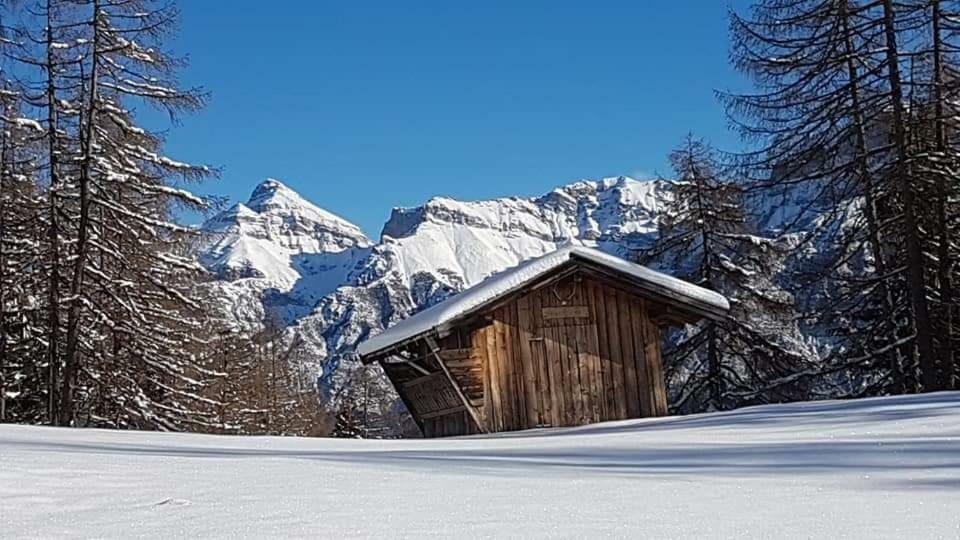 Haus Gamskogl Apartman Neustift im Stubaital Kültér fotó
