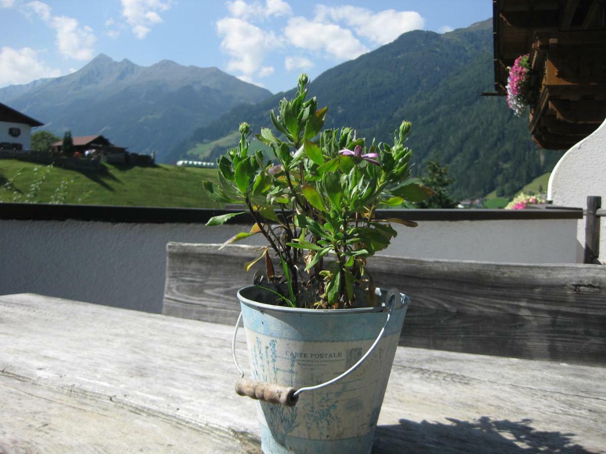 Haus Gamskogl Apartman Neustift im Stubaital Kültér fotó